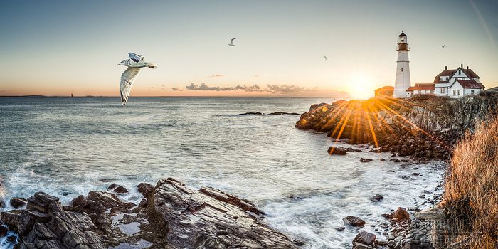 Adam Kohut Photography