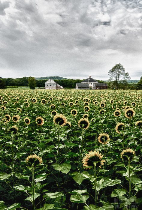 Landscapes, Cityscapes, & Nature
