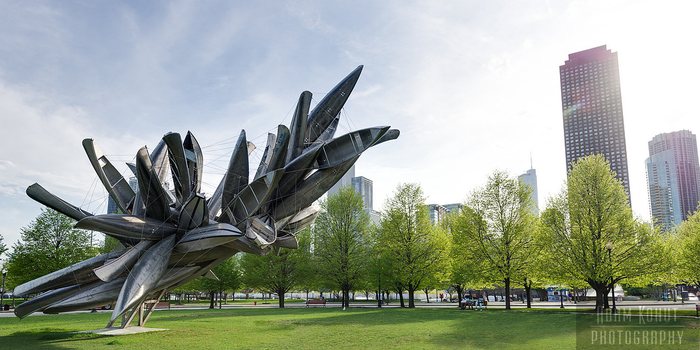 Landscapes, Cityscapes, & Nature