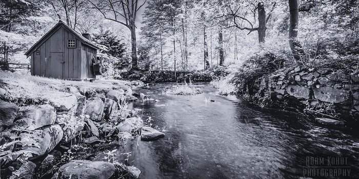 Adam Kohut Photography