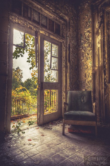 Adam Kohut Photography