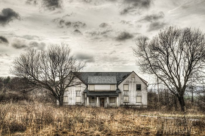 Adam Kohut Photography