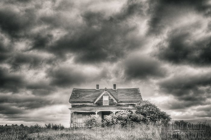 Adam Kohut Photography