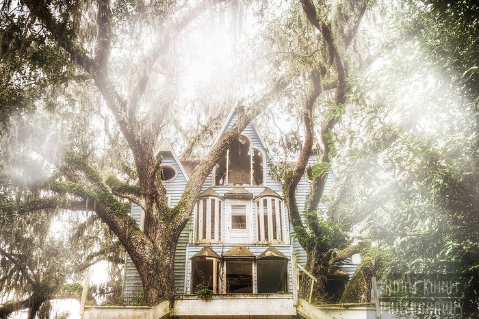 Abandoned Victorian Tree House